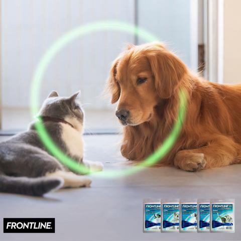 Imagem de Frontline Topspot Cães Antipulga Carrapato Boehringer 20 A 40kg