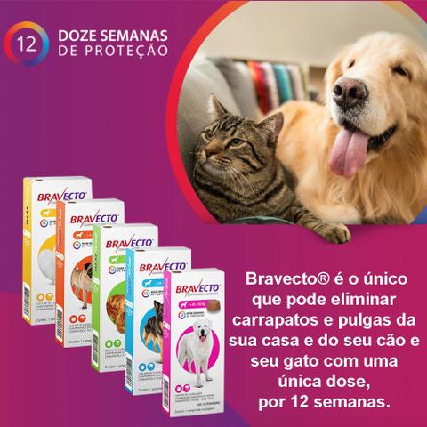 Imagem de Antipulgas E Carrapatos Bravecto MSD 500mg Para Cães De 10kg A 20kg - Combo Com 04 Unidades