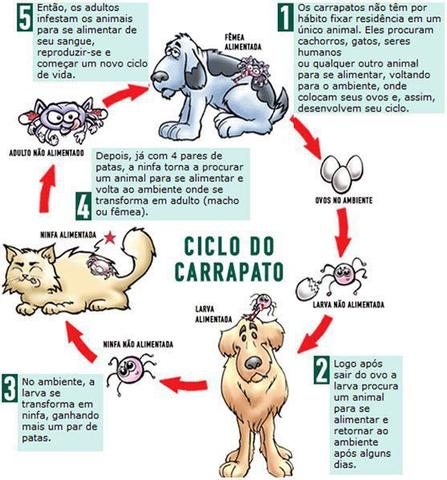 Imagem de Antipulgas E Carrapatos Neopet Ourofino Para CÃES de 10 a 20 Kg 02 Unidades