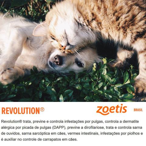 Imagem de Antipulgas E Carrapatos Zoetis Revolution 6 Para Gatos De 2,5 A 7,5 Kg - 3 Ampolas De 0,75ml